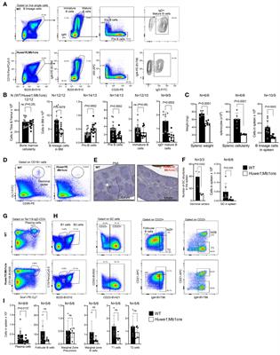 Huwe1 supports B-cell development, B-cell-dependent immunity, somatic hypermutation and class switch recombination by regulating proliferation